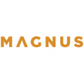 Дизельные генераторы Magnus