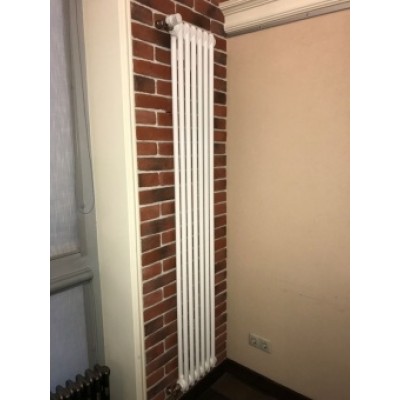 Стальной трубчатый радиатор 2-колончатый Arbonia 2180/06 N12 3/4 RAL 9016