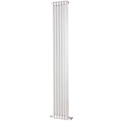 Стальной трубчатый радиатор 2-колончатый IRSAP TESI 21800/06 T30 (RR218000601A430N01)