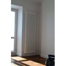 Стальной трубчатый радиатор 2-колончатый Arbonia 2180/08 № 69 ventil oben AME
