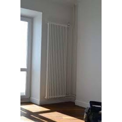 Стальной трубчатый радиатор 2-колончатый Arbonia 2180/08 № 69 ventil oben AME