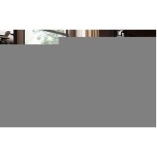 Стальной трубчатый радиатор 5-колончатый Arbonia 5035/37 N12 3/4 RAL 9016