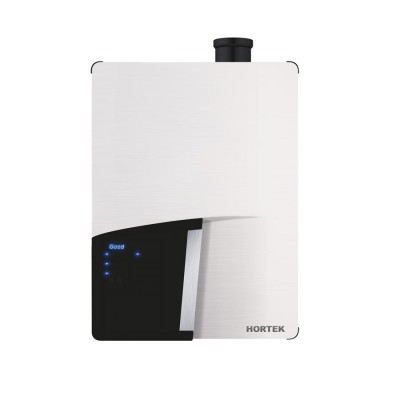 Газовые котлы Hortek
