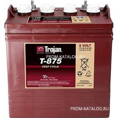 Аккумуляторная батарея trojan T875