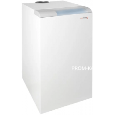 Газовый котел Protherm Медведь 20 PLO