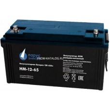 Аккумуляторная батарея Парус электро HM-12-65