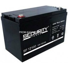 Аккумуляторная батарея Security Force SF 12100