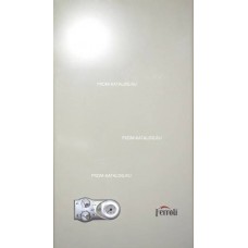 Настенный газовый котел Ferroli Arena F 24