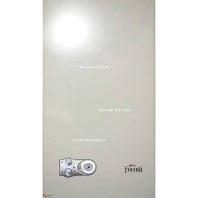Настенный газовый котел Ferroli Arena F 13