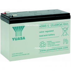 Аккумуляторная батарея Yuasa REW45-12