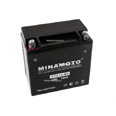 Аккумуляторная батарея Minamoto YTX14-BS