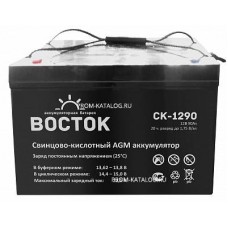 Аккумуляторная батарея Восток СК-1290