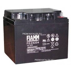 Аккумуляторная батарея Fiamm FG 24204